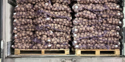 Unser Unternehmen bietet Kartoffeln verschiedener Sorten (Gala, Colombo, Queen