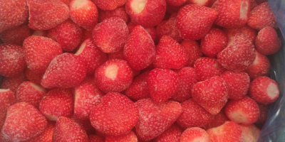 Buyer needed for d/z strawberry harvest 2024, half of
