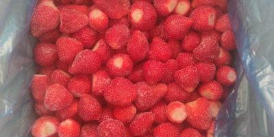 Buyer needed for d/z strawberry harvest 2024, half of