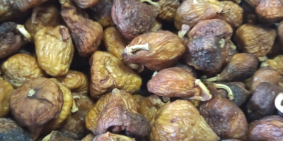 Good morning, we sell natural dried Spanish figs, harvest