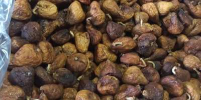Good morning, we sell natural dried Spanish figs, harvest