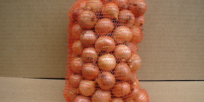 Cipolle rosse raccolto 2024, calibro 5+ di altissima qualità
