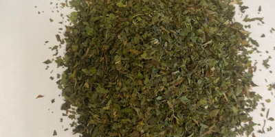 We offer peppermint for sale. Aromatic, dark green. Packaging