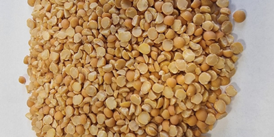 Yellow split peas Price given FCA Osina Mała, 98-358