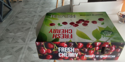 l&#39;esportazione di ciliegie fresche dall&#39;Uzbekistan inizia dal mese di