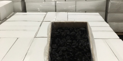 Ecological prunes. Superior quality, large quantities. +[phone] / +