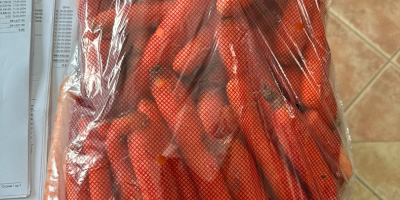 morcovi proaspeți