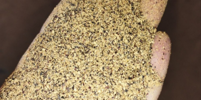 Rapeseed meal, loose, 34-37% Protein, bulk, min 22t. Price