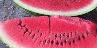 Premium Wholesale Watermelons from Divjake, Albania! Looking for the