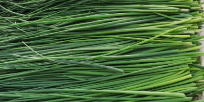 I will sell chives in bunches or per kg,