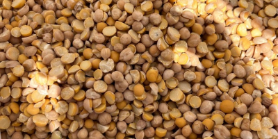 Selling chickpeas in big bags, or by arrangement in