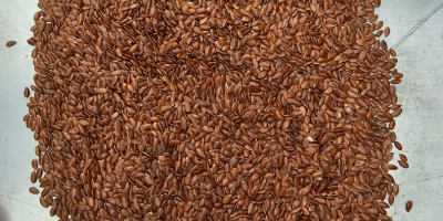 flax seeds purity 99.95-99.99%. Packaging on request.