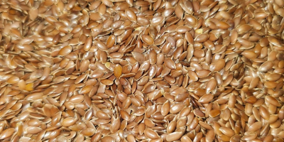 flax seeds purity 99.95-99.99%. Packaging on request.