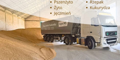 Acquistiamo cereali: grano, triticale, segale, avena, colza e mais