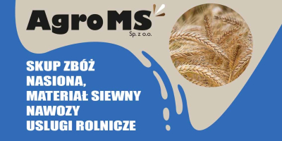 We buy grains: wheat, triticale, rye, oats, rapeseed, dry