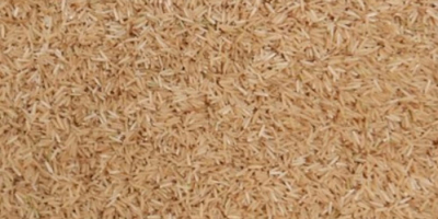 Basmanti rise / Basmanti rice Offer for basmanti rice,