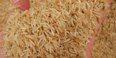 Basmanti rise / Basmanti rice Offer for basmanti rice,