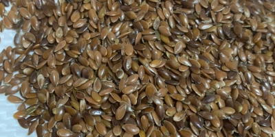 We offer flax seeds for the Polish and EU