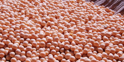 I will sell soybeans with delivery to the customer.