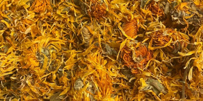 We offer for sale marigold flower. Beautiful golden color,