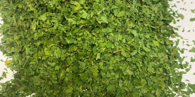 We offer for sale dried parsley. Green color, intense