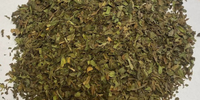 We offer peppermint for sale. Aromatic, dark green. Packaging