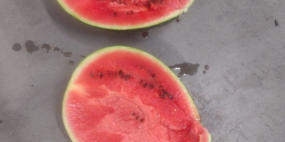 I will sell fresh watermelon, size 3-9kg, packaging to