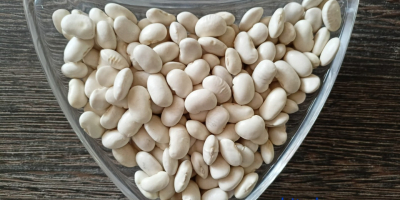 White beans, red beans, black beans. We offer beans,