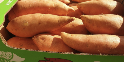 Sweet Potatoes 6Kg carton box Beauregard & Bellevue varieties