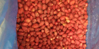 I will sell extra-class frozen wild strawberries from my