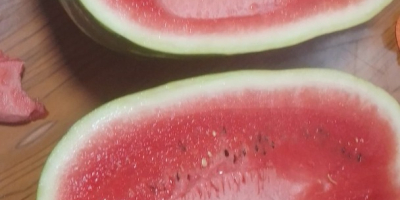 Watermelons of Spanish origin. It is exported throughout Europe