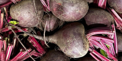 Beetroot for sale! For details, call the phone number!