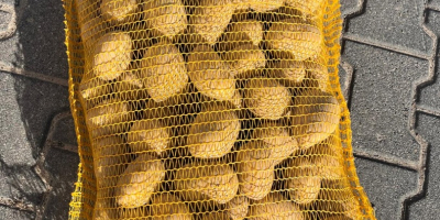 Helló, van krumplim egy nagy zsákban és egy zsákban.