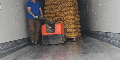 Buongiorno, ho patate in un sacco grande e in