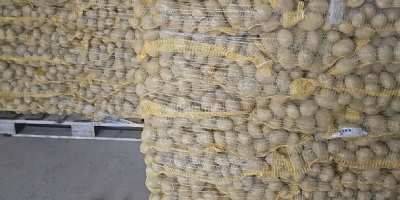 Helló, van krumplim egy nagy zsákban és egy zsákban.