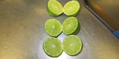 Fresh Limes Tahiti Colombia All calibers available Packaging: 4,5kg