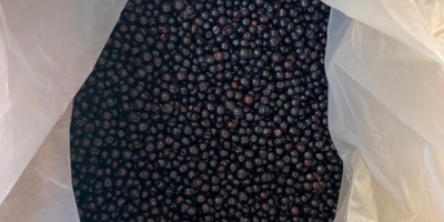 I&#39;m selling frozen mountain blueberries! Certified quality!