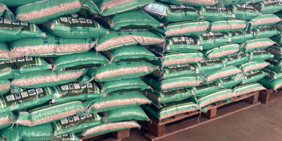 White Kidney Beans Best Quality 180 A Each 100