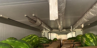The best watermelon in region. Sweet and fresh. Call