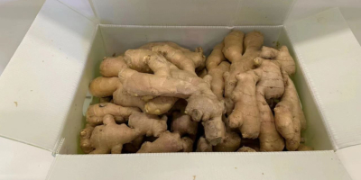 Our offer includes ginger from China. 12 kg per