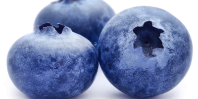 Hello, I will buy blueberries in larger quantities than