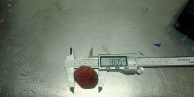 Fragole congelate IQF Data di produzione: aprile-maggio 2024 Grado: