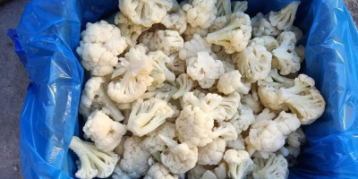 IQF Frozen Cauliflower Florets: Grade: A Size: 3-6 CM