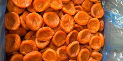 Dalinuts verkauft Rosinen, Aprikosen, Haselnüsse, geröstete, gesalzene Pistazien und