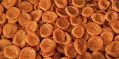 Dalinuts verkauft Rosinen, Aprikosen, Haselnüsse, geröstete, gesalzene Pistazien und