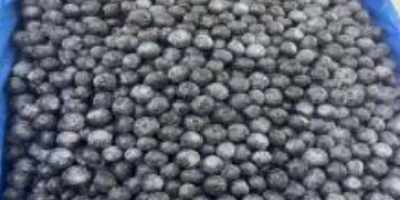 IQF Frozen American Blueberries for Sale Class A. EUR