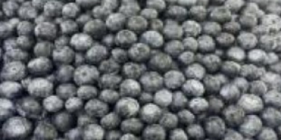 Ich verkaufe gefrorene Blaubeeren, IQF-Klasse A. 2,55 EUR/kg ab