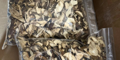 We offer forest mushrooms (boletus, chanterelles). Dry or frozen.