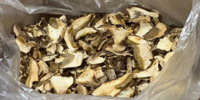 We offer forest mushrooms (boletus, chanterelles). Dry or frozen.