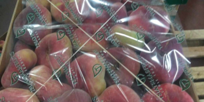 We offer peaches - more varieties from Macedonian and